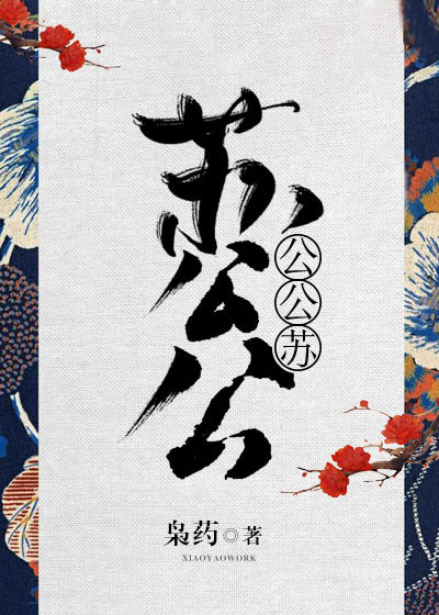 苏公公视频